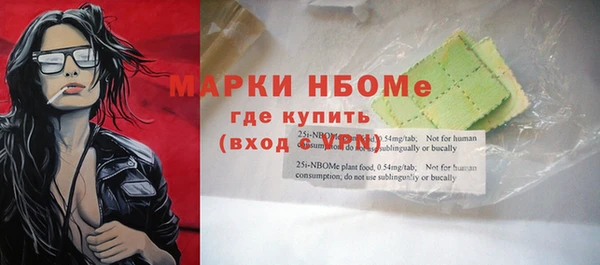 прущие грибы Вязьма