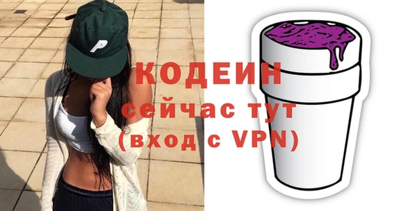 прущие грибы Вязьма