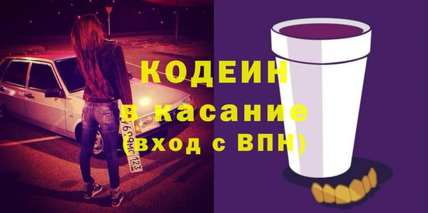 прущие грибы Вязьма
