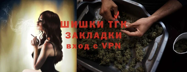 прущие грибы Вязьма