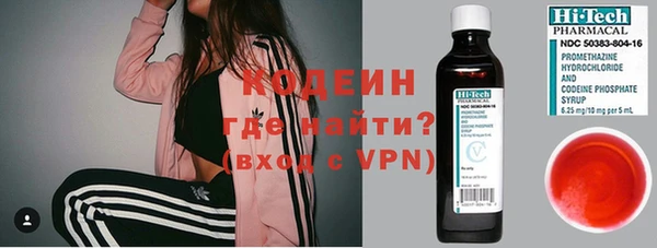 прущие грибы Вязьма