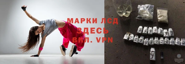 прущие грибы Вязьма
