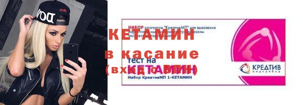 прущие грибы Вязьма