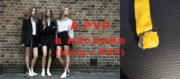 прущие грибы Вязьма