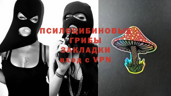 прущие грибы Вязьма