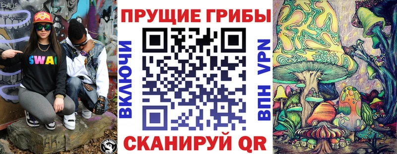 закладки  Камень-на-Оби  Галлюциногенные грибы прущие грибы 